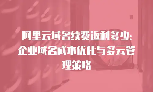 阿里云域名续费返利多少：企业域名成本优化与多云管理策略