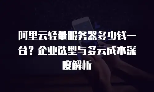 阿里云轻量服务器多少钱一台？企业选型与多云成本深度解析