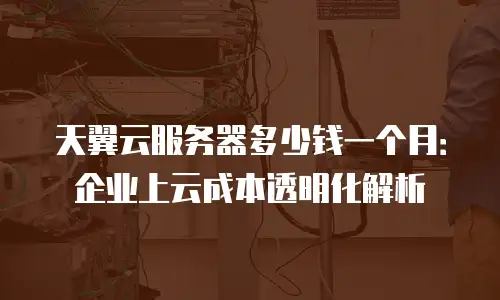 天翼云服务器多少钱一个月：企业上云成本透明化解析