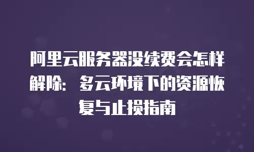 阿里云服务器没续费会怎样解除：多云环境下的资源恢复与止损指南