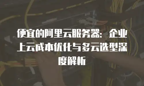 便宜的阿里云服务器：企业上云成本优化与多云选型深度解析