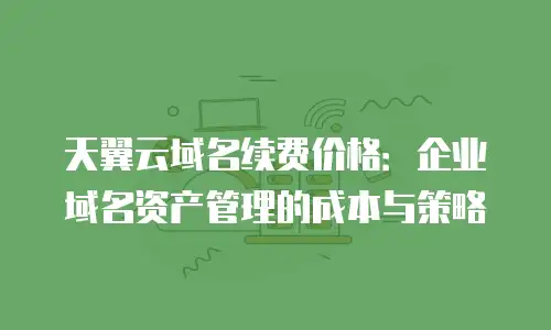 天翼云域名续费价格：企业域名资产管理的成本与策略