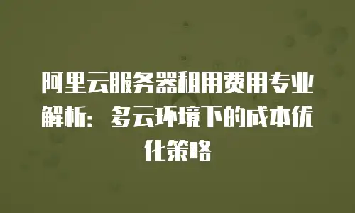 阿里云服务器租用费用专业解析：多云环境下的成本优化策略