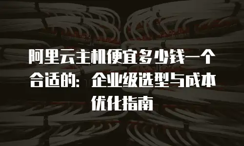 阿里云主机便宜多少钱一个合适的：企业级选型与成本优化指南