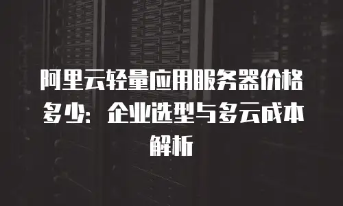 阿里云轻量应用服务器价格多少：企业选型与多云成本解析
