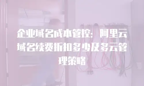 企业域名成本管控：阿里云域名续费折扣多少及多云管理策略
