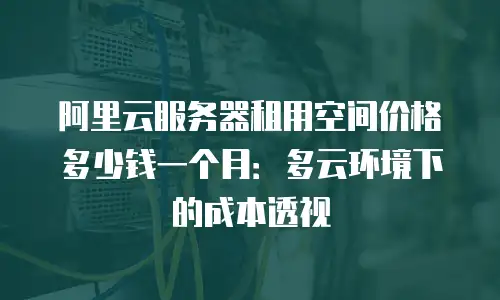阿里云服务器租用空间价格多少钱一个月：多云环境下的成本透视