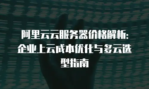 阿里云云服务器价格解析：企业上云成本优化与多云选型指南