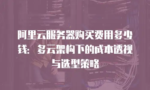 阿里云服务器购买费用多少钱：多云架构下的成本透视与选型策略