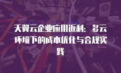 天翼云企业应用返利：多云环境下的成本优化与合规实践