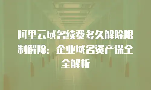 阿里云域名续费多久解除限制解除：企业域名资产保全全解析