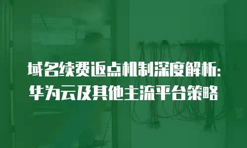 域名续费返点机制深度解析：华为云及其他主流平台策略