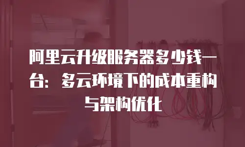阿里云升级服务器多少钱一台：多云环境下的成本重构与架构优化