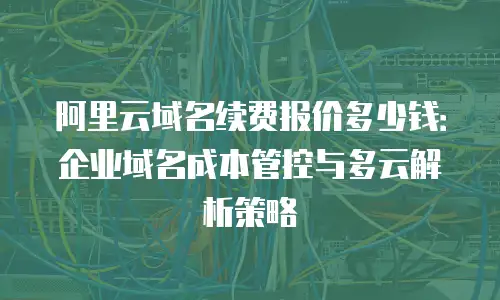 阿里云域名续费报价多少钱：企业域名成本管控与多云解析策略