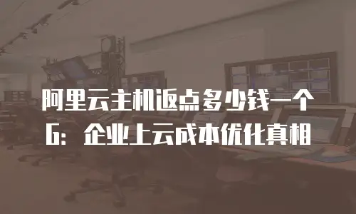 阿里云主机返点多少钱一个G：企业上云成本优化真相