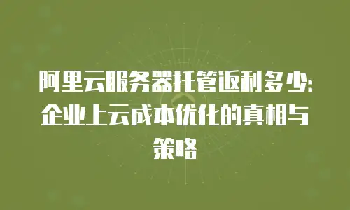 阿里云服务器托管返利多少：企业上云成本优化的真相与策略