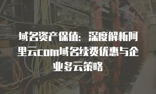 域名资产保值：深度解析阿里云com域名续费优惠与企业多云策略