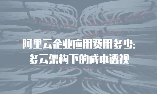 阿里云企业应用费用多少：多云架构下的成本透视