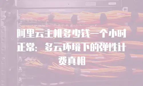 阿里云主机多少钱一个小时正常：多云环境下的弹性计费真相