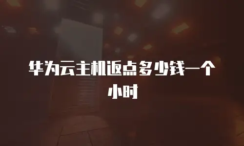 华为云主机返点多少钱一个小时