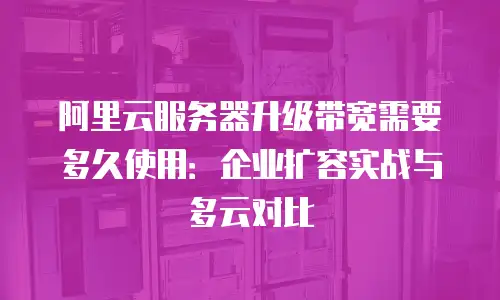 阿里云服务器升级带宽需要多久使用：企业扩容实战与多云对比