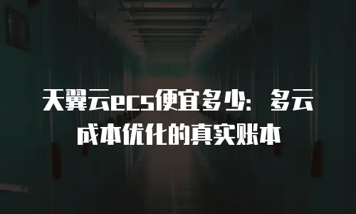 天翼云ecs便宜多少：多云成本优化的真实账本