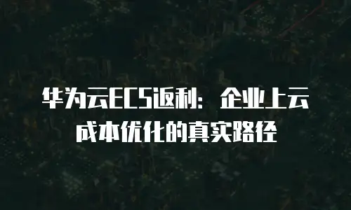 华为云ECS返利：企业上云成本优化的真实路径