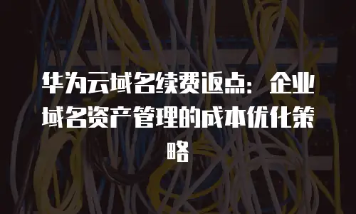 华为云域名续费返点：企业域名资产管理的成本优化策略