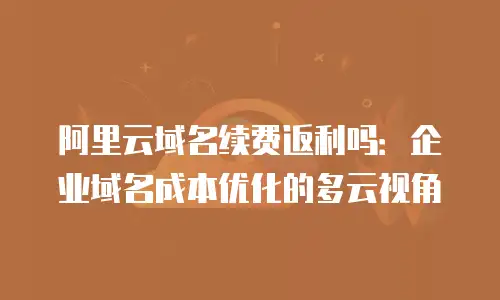 阿里云域名续费返利吗：企业域名成本优化的多云视角