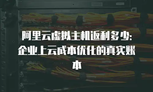 阿里云虚拟主机返利多少：企业上云成本优化的真实账本