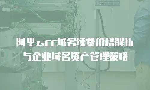 阿里云cc域名续费价格解析与企业域名资产管理策略