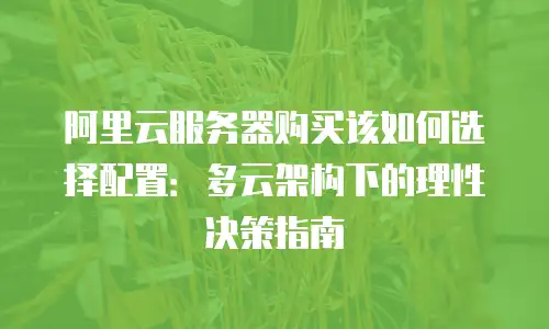 阿里云服务器购买该如何选择配置：多云架构下的理性决策指南
