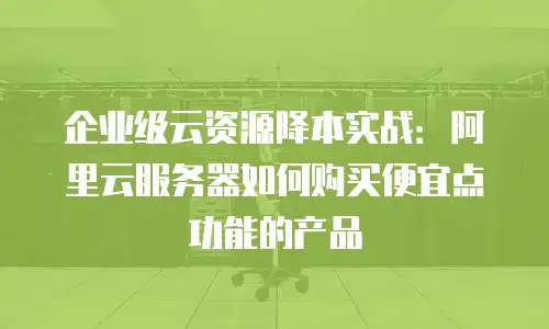 企业级云资源降本实战：阿里云服务器如何购买便宜点功能的产品