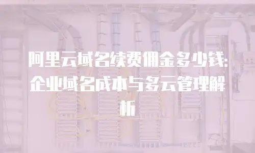 阿里云域名续费佣金多少钱：企业域名成本与多云管理解析