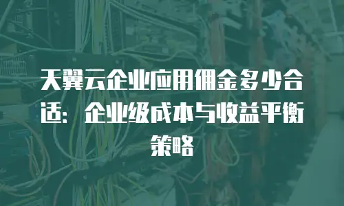天翼云企业应用佣金多少合适：企业级成本与收益平衡策略