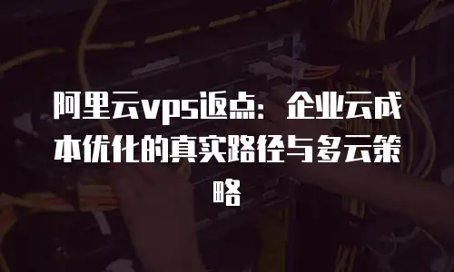 阿里云vps返点：企业云成本优化的真实路径与多云策略