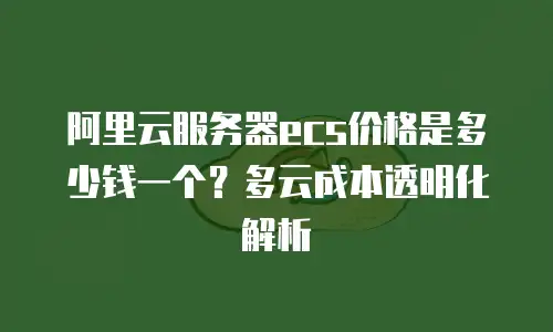 阿里云服务器ecs价格是多少钱一个？多云成本透明化解析