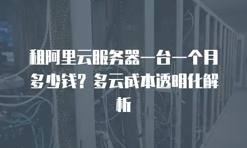 租阿里云服务器一台一个月多少钱？多云成本透明化解析