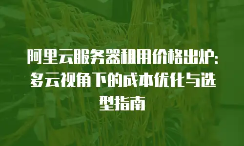 阿里云服务器租用价格出炉：多云视角下的成本优化与选型指南