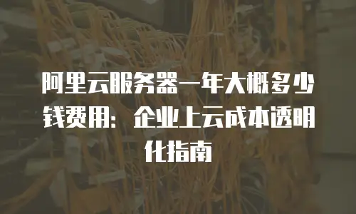 阿里云服务器一年大概多少钱费用：企业上云成本透明化指南