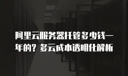 阿里云服务器托管多少钱一年的？多云成本透明化解析