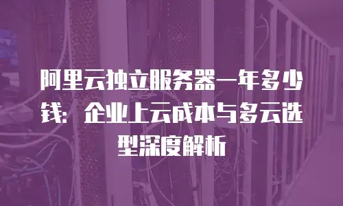 阿里云独立服务器一年多少钱：企业上云成本与多云选型深度解析