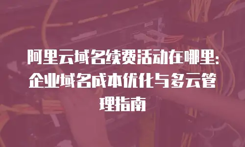 阿里云域名续费活动在哪里：企业域名成本优化与多云管理指南