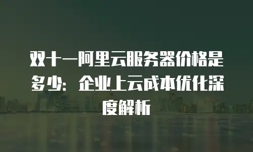 双十一阿里云服务器价格是多少：企业上云成本优化深度解析