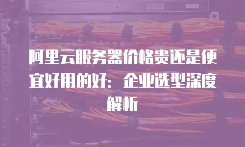 阿里云服务器价格贵还是便宜好用的好：企业选型深度解析