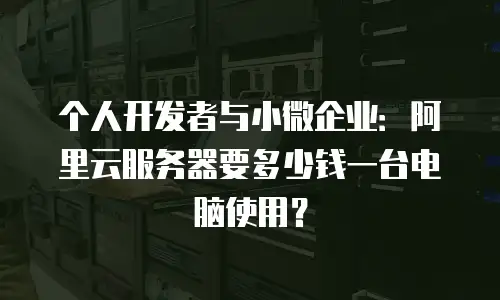 个人开发者与小微企业：阿里云服务器要多少钱一台电脑使用？