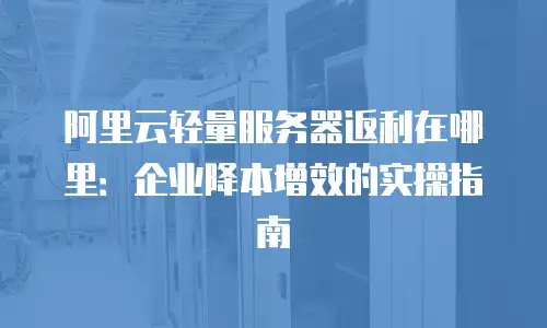 阿里云轻量服务器返利在哪里：企业降本增效的实操指南