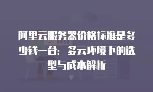 阿里云服务器价格标准是多少钱一台：多云环境下的选型与成本解析