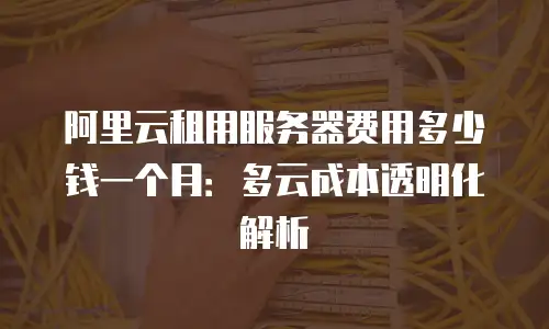 阿里云租用服务器费用多少钱一个月：多云成本透明化解析