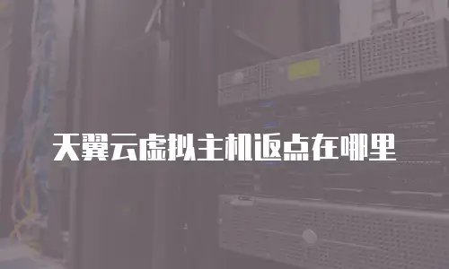 天翼云虚拟主机返点在哪里
